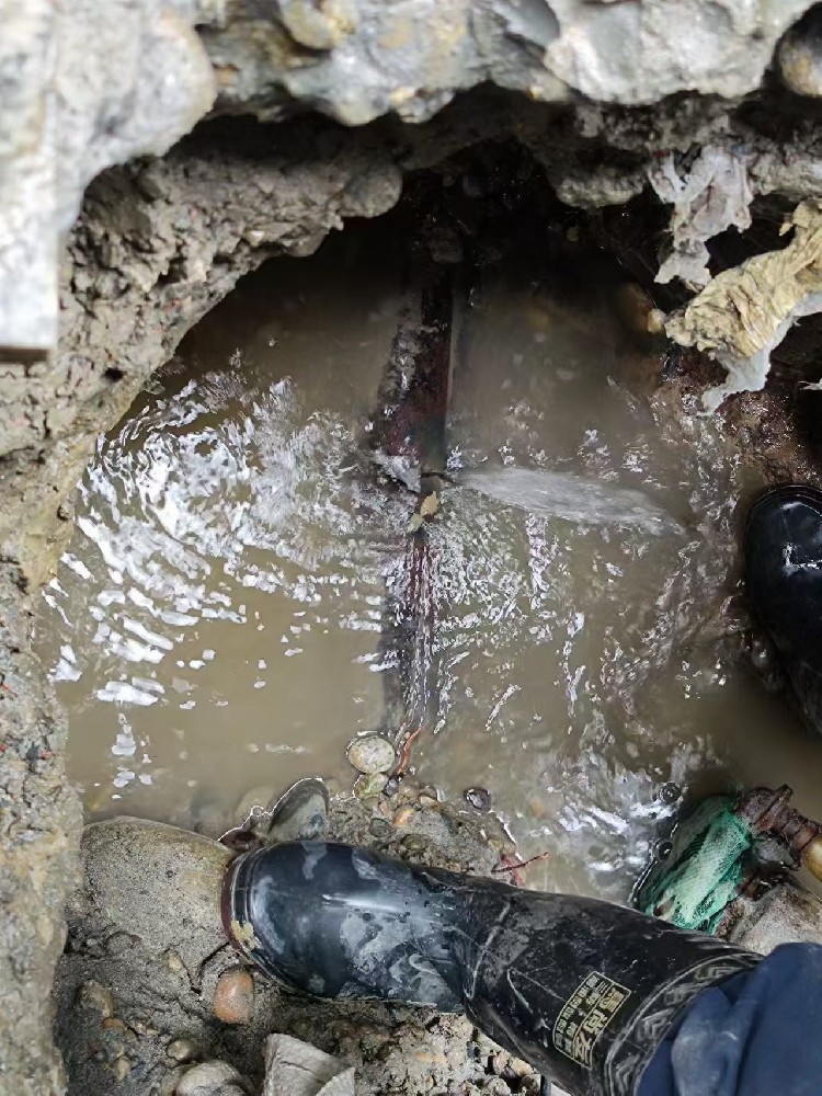 滨海新区本地服务：小区水管漏水检测维修